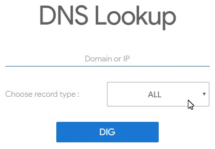 Búsqueda de DNS